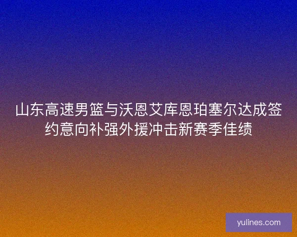 山东高速男篮与沃恩艾库恩珀塞尔达成签约意向补强外援冲击新赛季佳绩